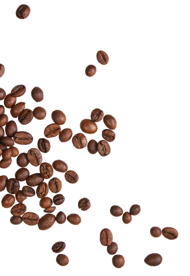 コーヒー豆の装飾