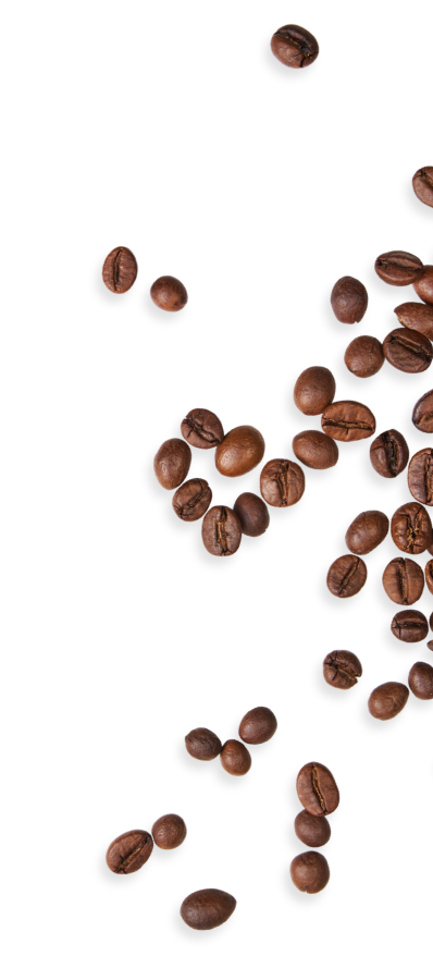 コーヒー豆の装飾